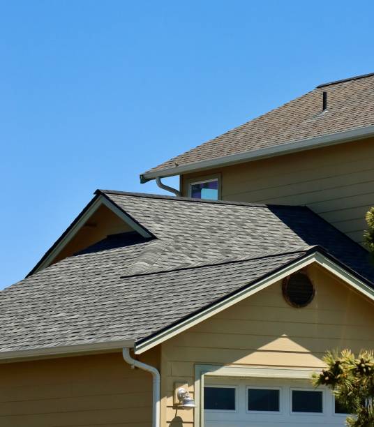 Professional Roofing service in Hilo, HI